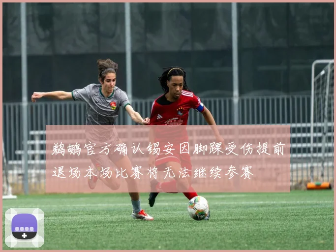 鹈鹕官方确认锡安因脚踝受伤提前退场本场比赛将无法继续参赛